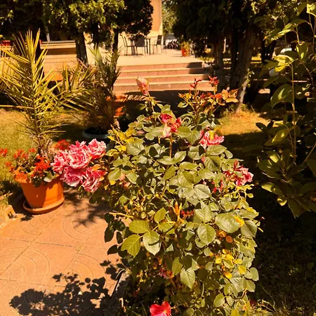 International Hotell