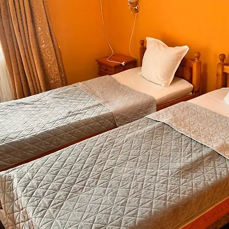 International * Berkovitsa