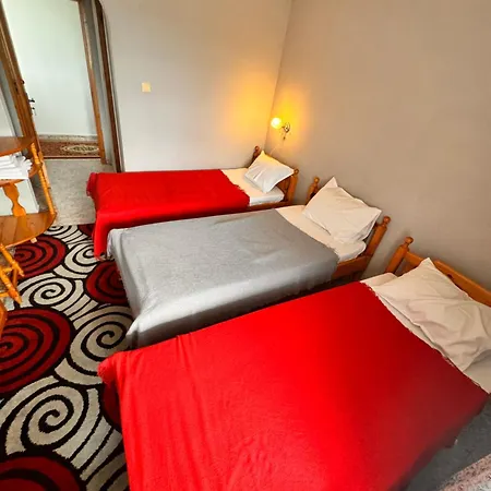 International Hotel