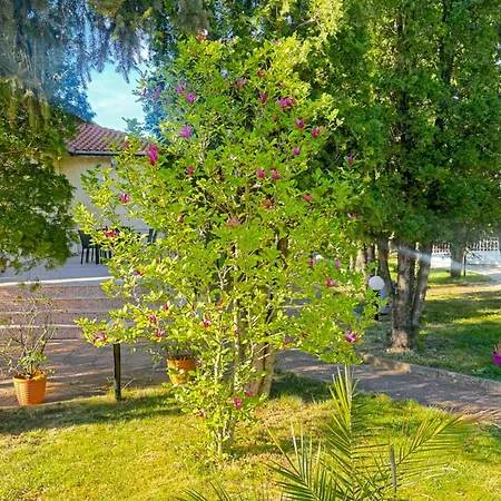 International Hotell *