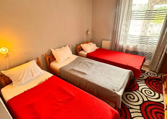 International Hotel Berkovitsa