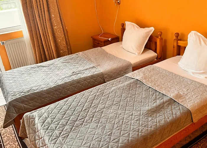 International * Berkovitsa