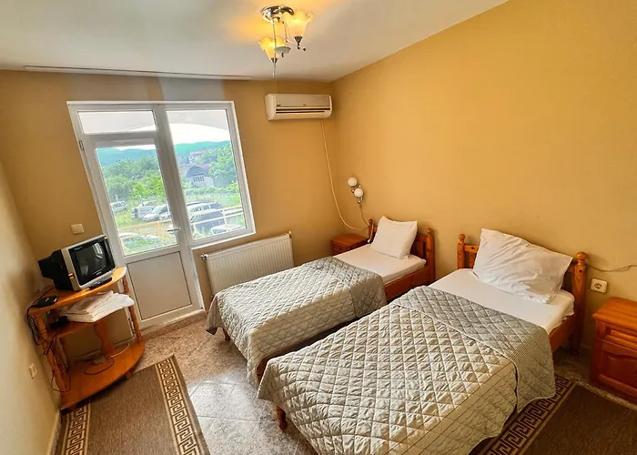 International * Berkovitsa