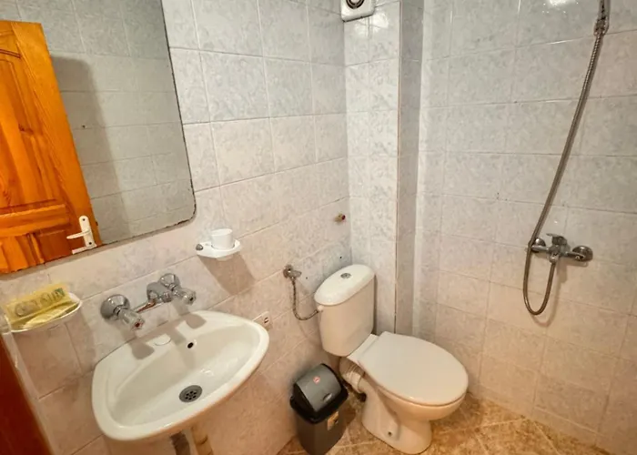 International Berkovitsa