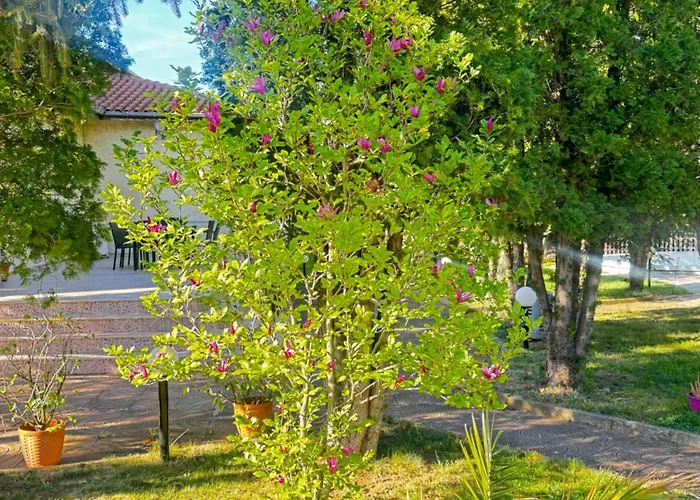 International Hotel *